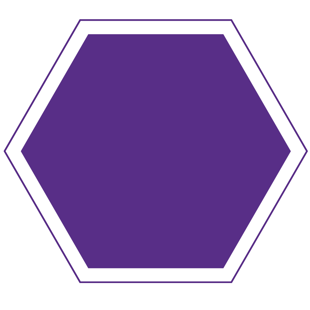 Purple Hexagon logo